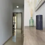 Apartamento Centro Puente Romano